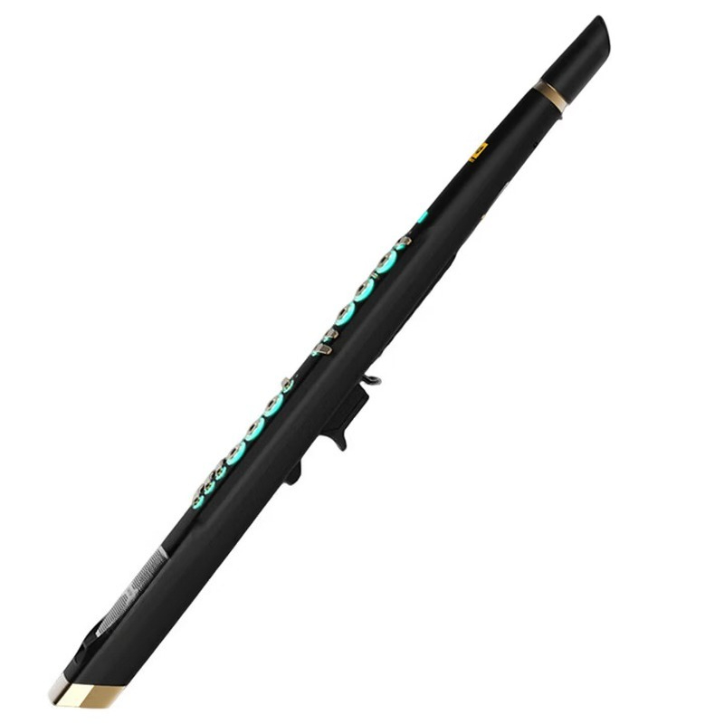C20 true sampling domestic hig - مراجعة Musical Instrument You Blow Into وسعره