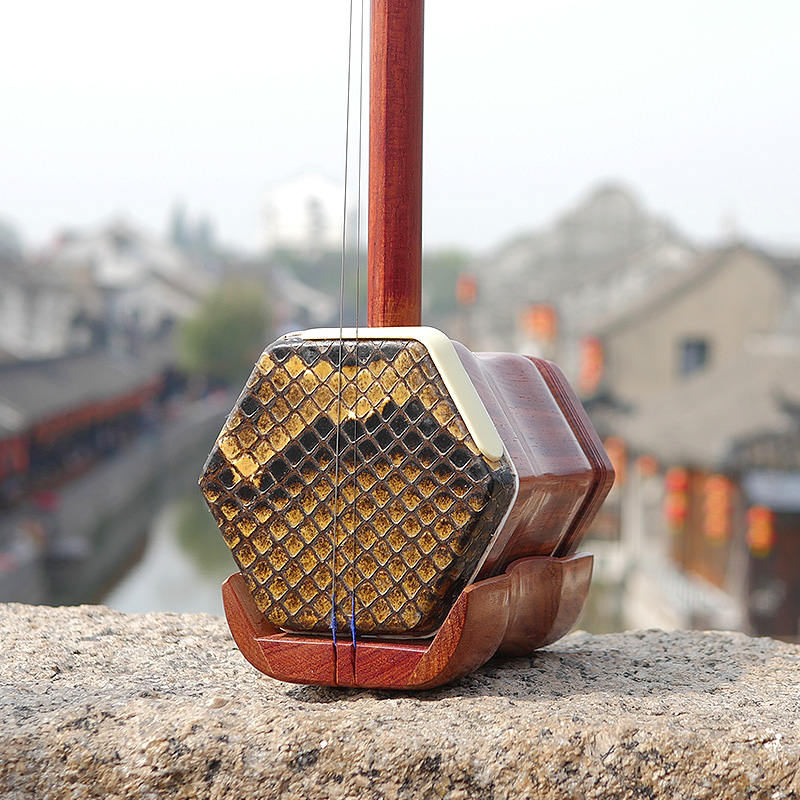 Professional Dunhuang Brand 06 - مراجعة Musical Instrument All وسعره