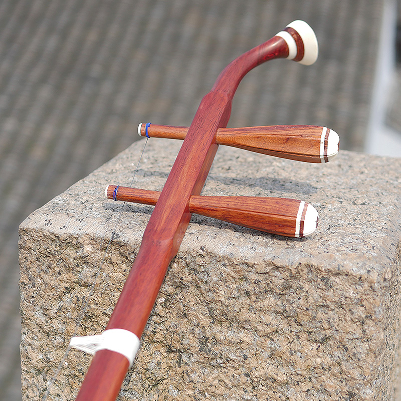 Professional Dunhuang Brand 06 - مراجعة Musical Instrument All وسعره