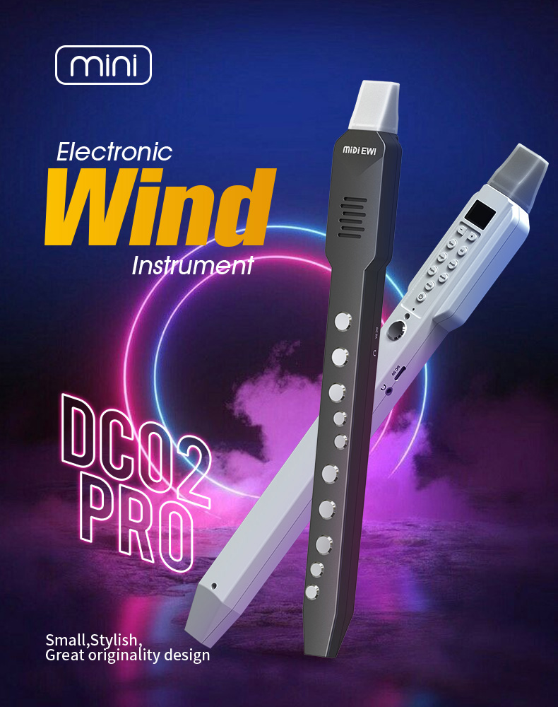 upgrade Mini Digital Electroni - مراجعة Musical Instrument Lute وسعره