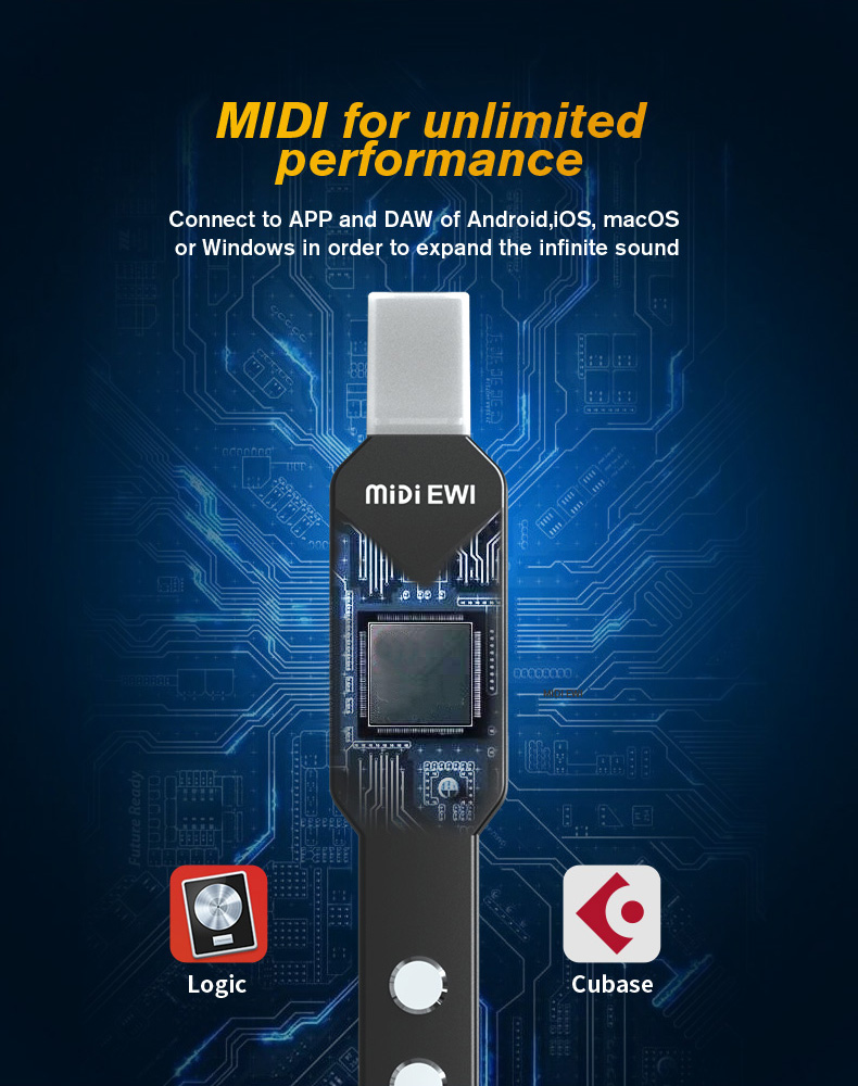 upgrade Mini Digital Electroni - مراجعة Musical Instrument Lute وسعره
