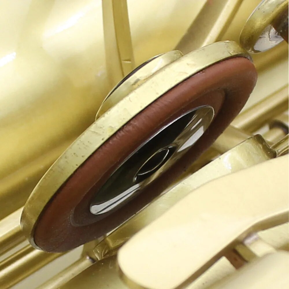 Saxophone Pads Universal Butto - مراجعة Musical Instrument Oboe وسعره