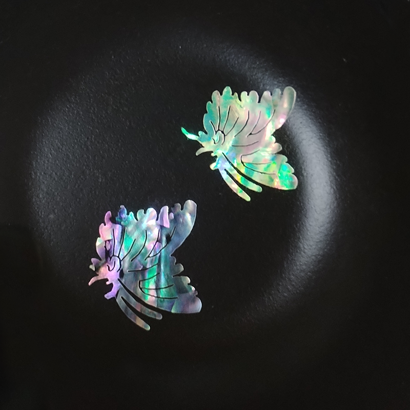 2 PC Abalone (Pāua) Shell Piec - مراجعة Musical Instrument Project وسعره