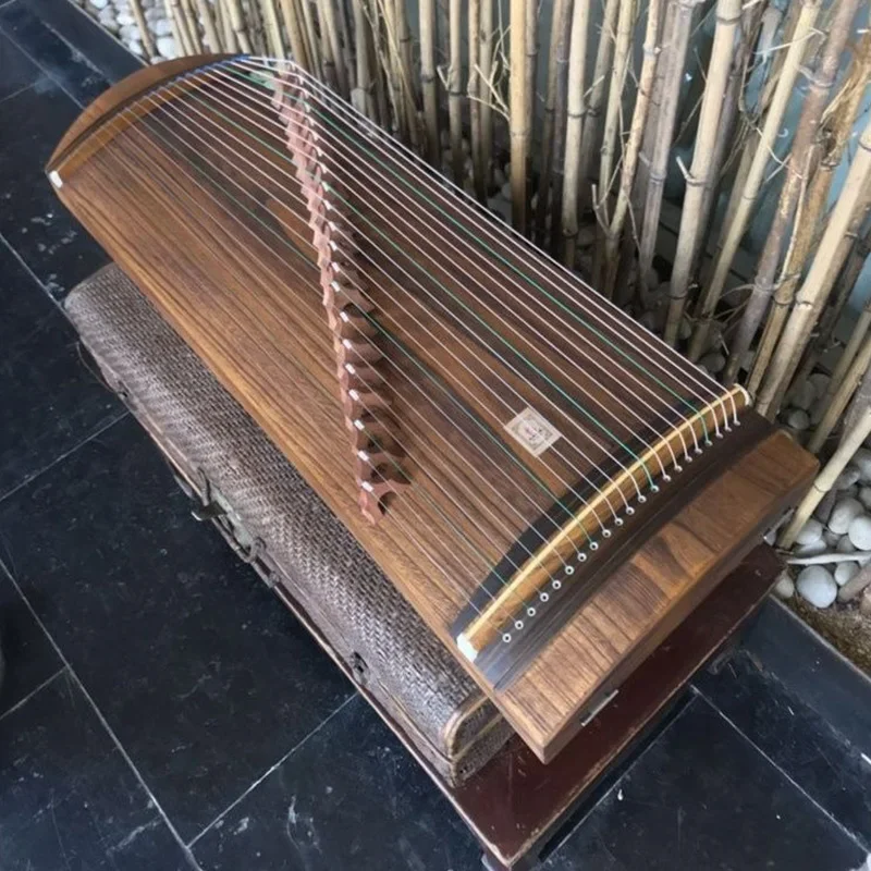 Mini Guzheng Travel Nails Chin - مراجعة Musical Instrument Lute وسعره