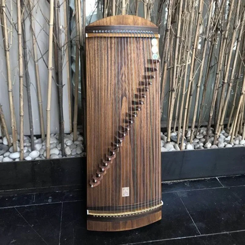 Mini Guzheng Travel Nails Chin - مراجعة Musical Instrument Lute وسعره