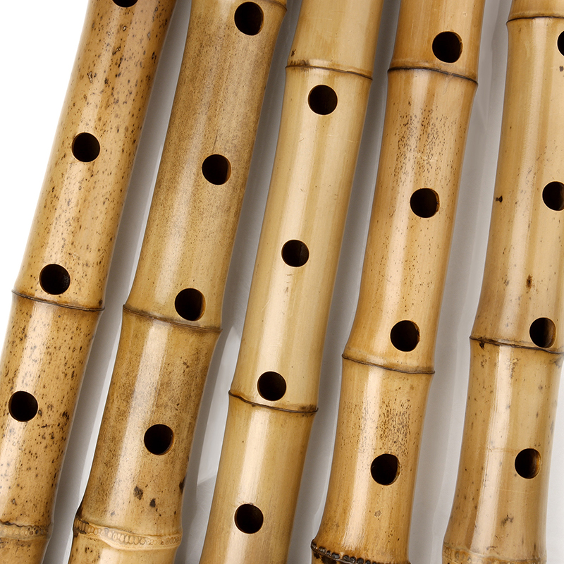 Vertical Bamboo Flute with Sha - مراجعة Musical Instrument Lute وسعره